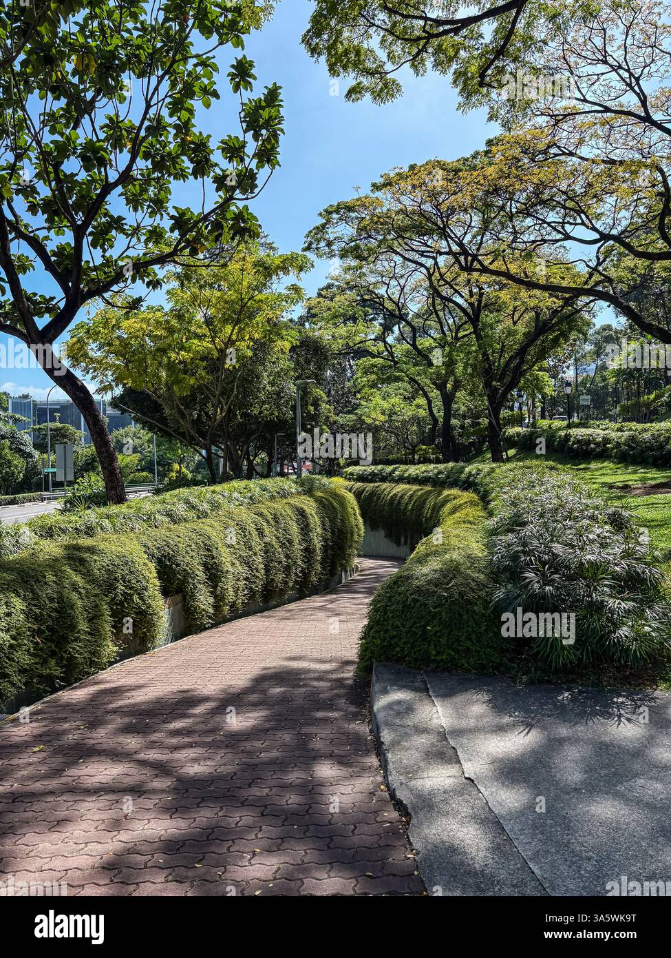Il sentiero del parco di caccia Fort è circondato da una vegetazione lussureggiante a Singapore, con un unico passaggio pedonale pavimentato in mattoni sotto un cielo soleggiato. Foto Stock