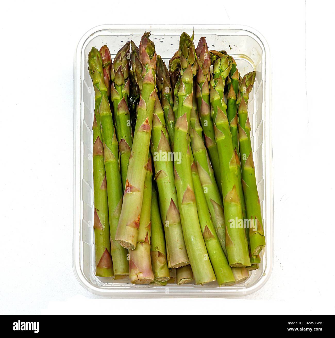 Bastoncini di asparagi biologici freschi all'interno della scatola di plastica Foto Stock