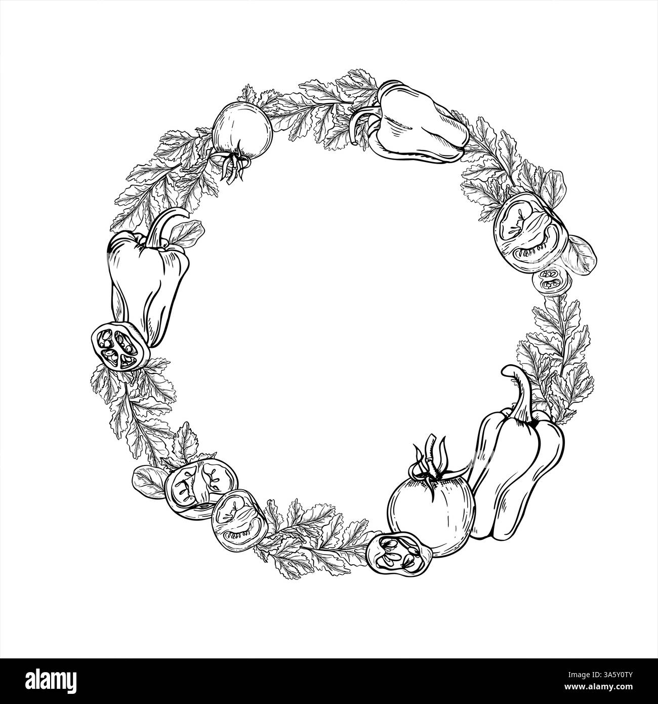 Pomodori freschi, peperoni dolci e righe di ghirlanda di prezzemolo in bianco e nero. Disegno inciso di foglie di insalata con verdure Illustrazione Vettoriale