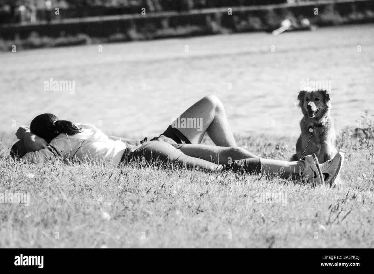 COPPIA ROMANTOC, CANE, SERATA ESTIVA, RELAX, ROATH PARK, CARDIFF, GALLES, ARCHIVIO, 2002: una coppia romantica viene guardata dal loro cane carino. Persone che rilassano il sole di fine estate a Roath Park, Cardiff, Galles Regno Unito nel settembre 2002. Fotografia: Rob Watkins Foto Stock