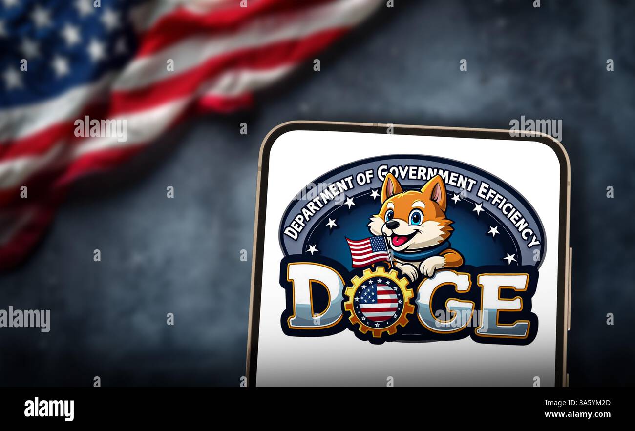 DOGE - Dipartimento dell'efficienza del governo Foto Stock