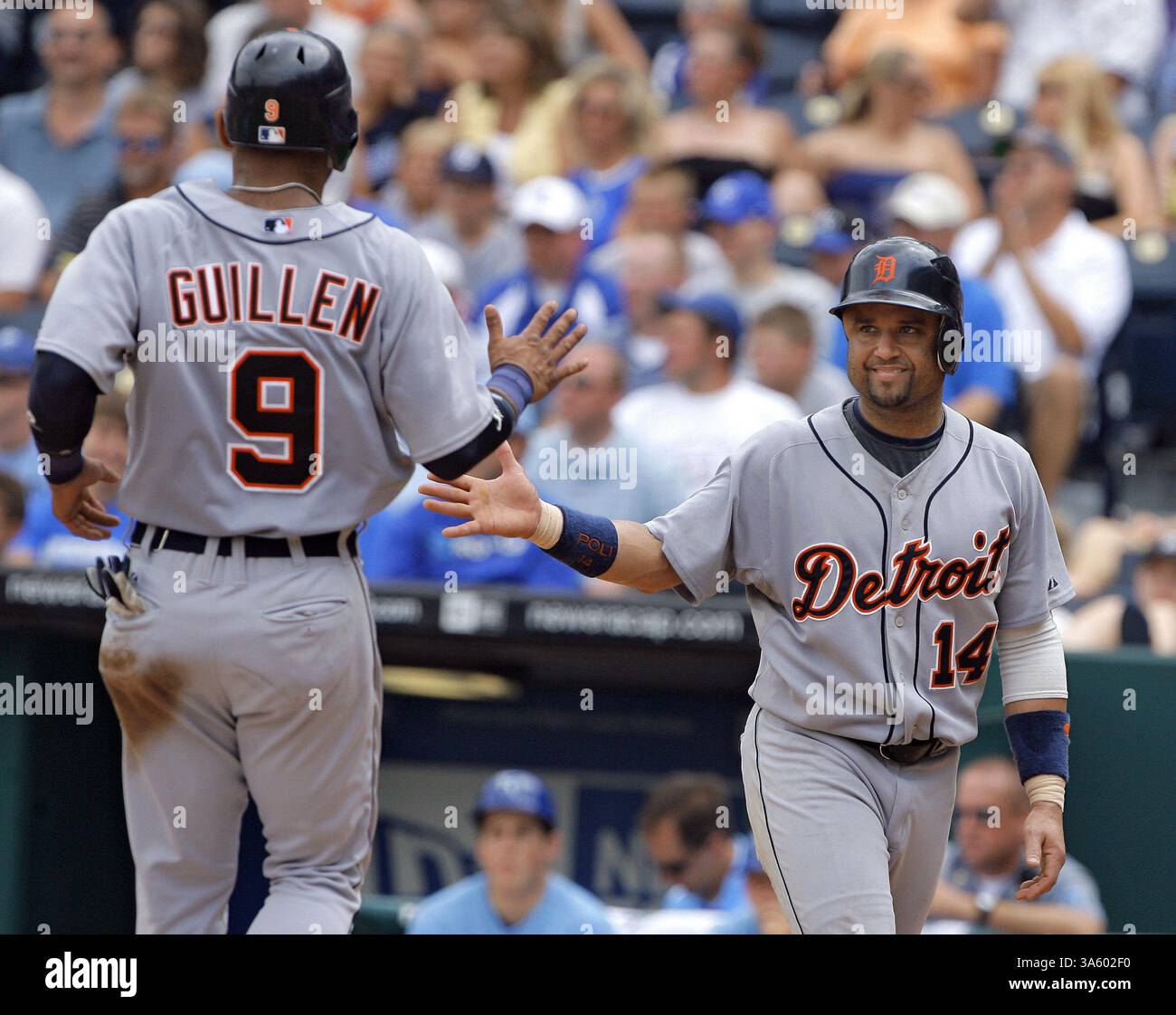 23 luglio 2008 - Placido Polanco dei Detroit Tigers (14) e Carlos Guillen (9) si congratulano a vicenda dopo aver segnato entrambi su un singolo dal compagno di squadra Miguel Cabrera nel terzo inning contro i Kansas City Royals al Kauffman Stadium di Kansas City, Missouri, mercoledì 23 luglio 2008. (John Sleezer/Kansas City Star/MCT) (immagine di credito: © John Sleezer/MCT/ZUMAPRESS.com) Foto Stock