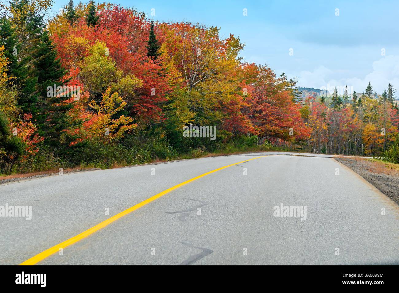 Una vista del fogliame autunnale che si avvicina a una curva della strada nella Baia di Fundy, New Brunswick in autunno Foto Stock