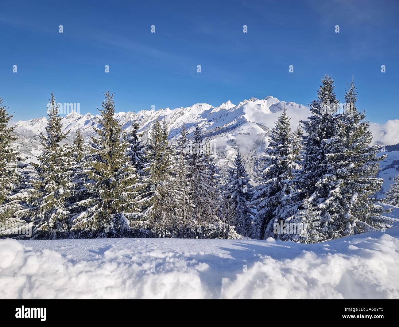 Paesaggio innevato con alberi sempreverdi e montagne innevate di Aravis sullo sfondo sotto un cielo azzurro. Scena pittoresca che mostra - Immagine stock catturata con smartphone