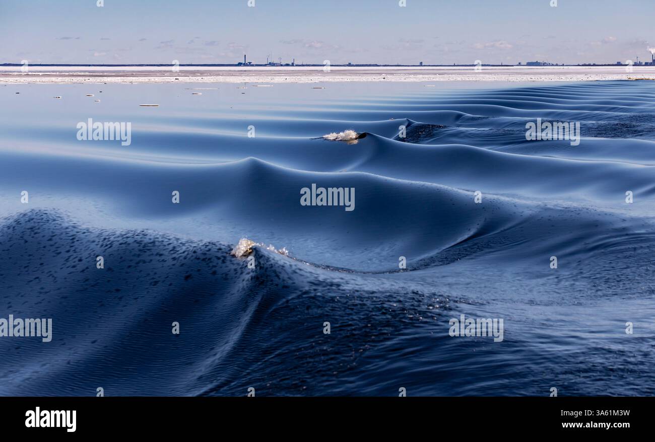 Mare ghiaccio e onde Foto Stock
