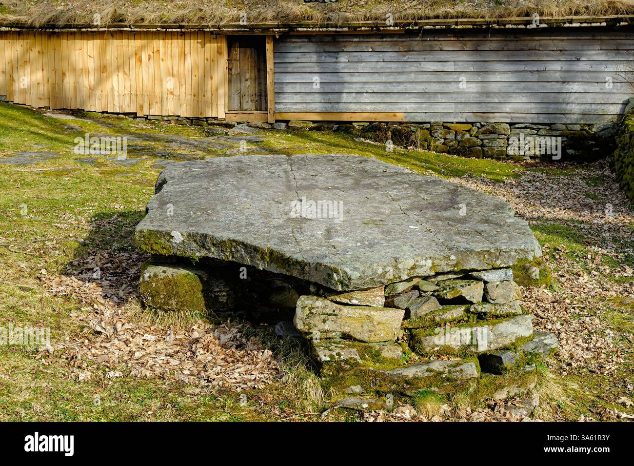Un grande tavolo in pietra siede in cima ad una solida base in pietra, circondato da erba e muschio in un tranquillo ambiente rurale. Foto Stock