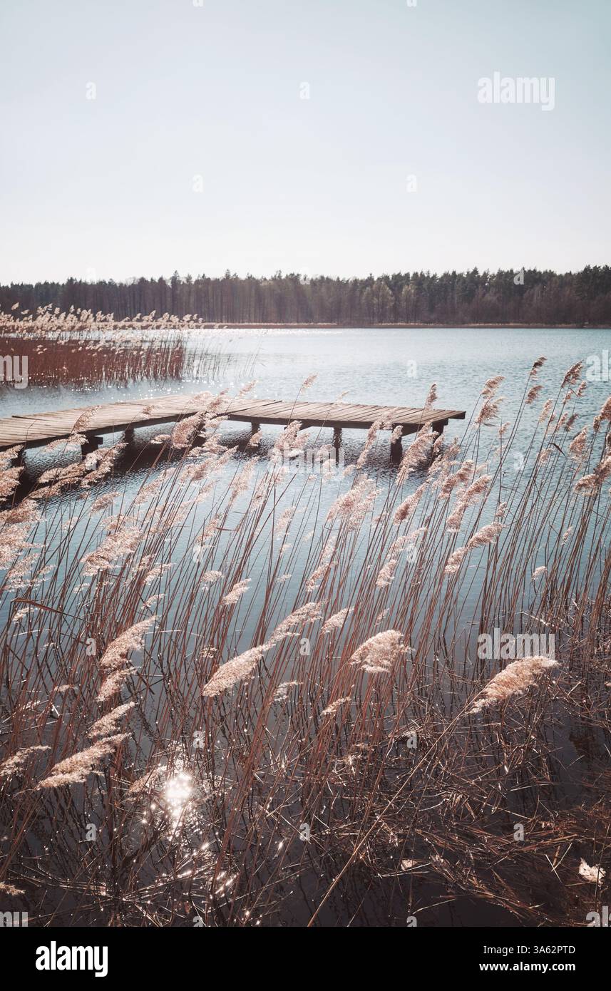 Paesaggio con lago in una giornata di sole, colori applicati. Foto Stock