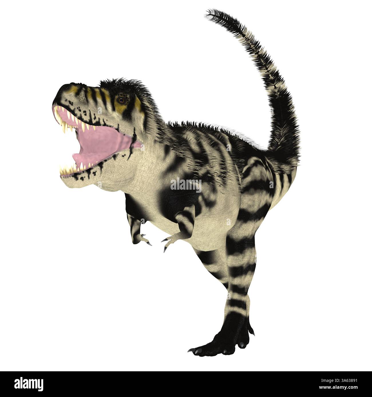 Tyrannosaurus Rex era un dinosauro teropode carnivoro vissuto nel Cretaceo del Nord America. Foto Stock