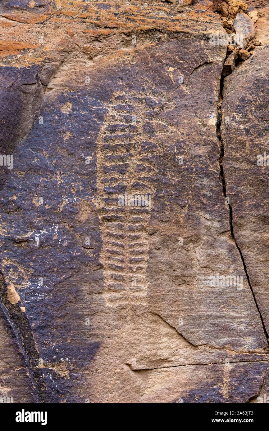 Un pannello d'arte rupestre pre-ispanica dei nativi americani nel Cottonwood Canyon, Nine Mile Canyon nello Utah. Foto Stock