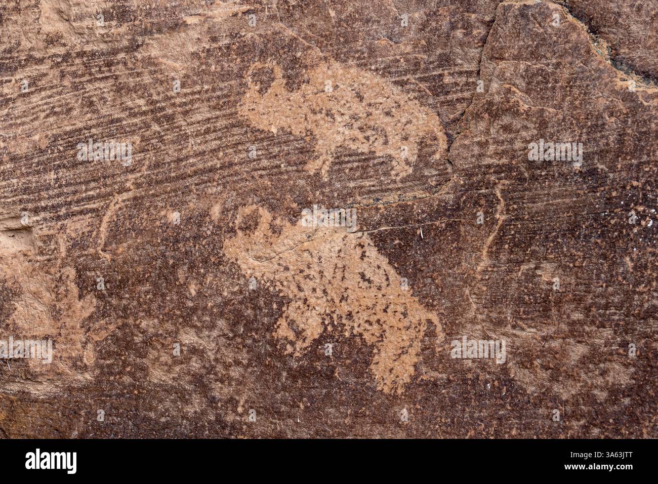 Un pannello di arte rupestre pre-ispanica dei nativi americani di due bisonti nel Cottonwood Canyon, Nine Mile Canyon nello Utah. Cultura di Fremont. Foto Stock