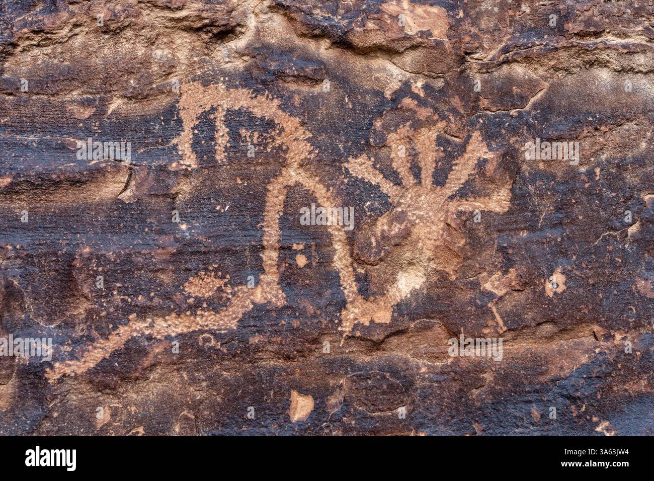 Un pannello di arte rupestre pre-ispanica dei nativi americani di un serpente stilizzato nel Cottonwood Canyon, Nine Mile Canyon nello Utah. Cultura di Fremont. Foto Stock