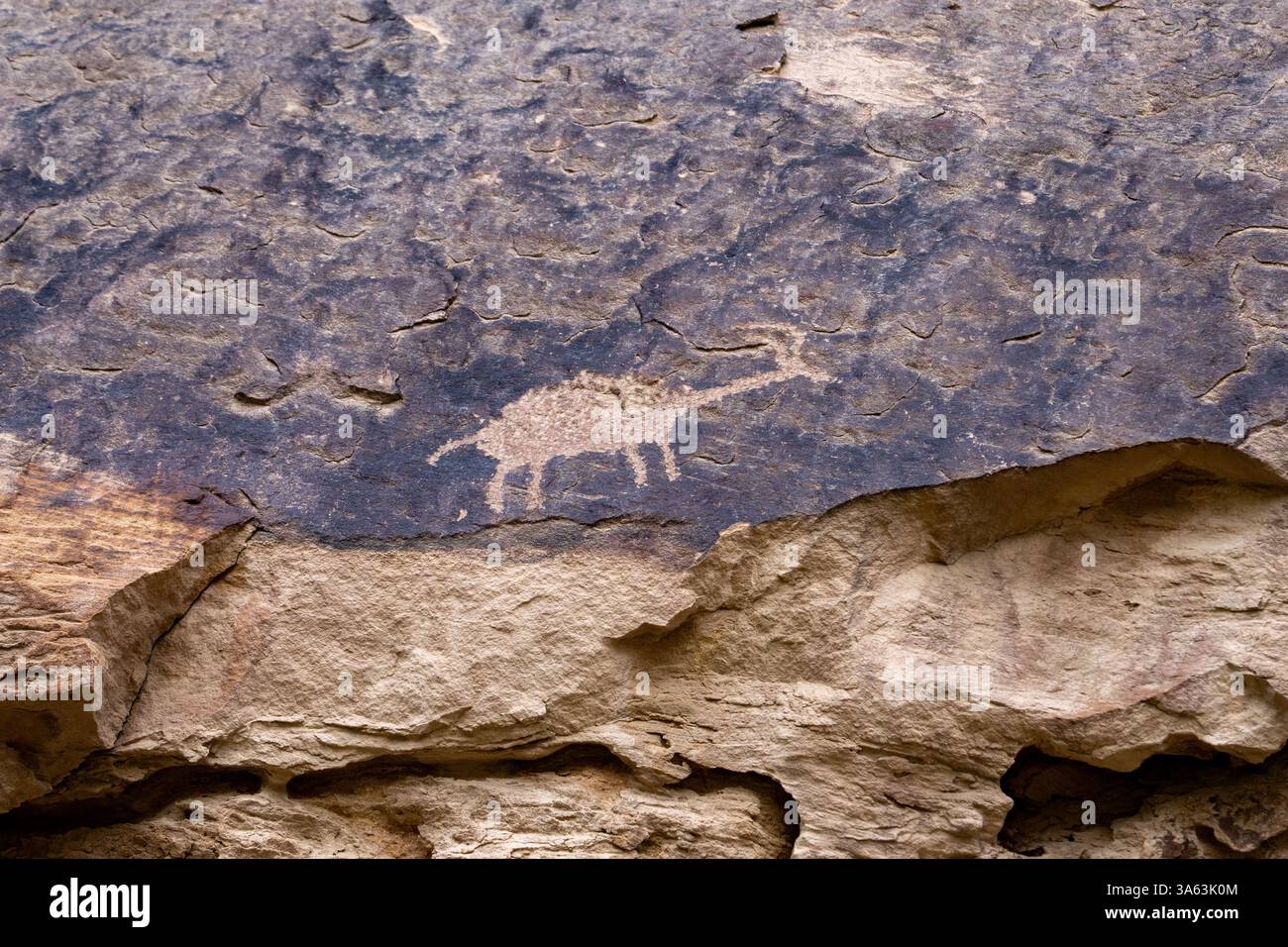 Un pannello d'arte rupestre pre-ispanico dei nativi americani ha dipinto un pittografo nel Cottonwood Canyon, Nine Mile Canyon nello Utah. Cultura di Fremont. Foto Stock