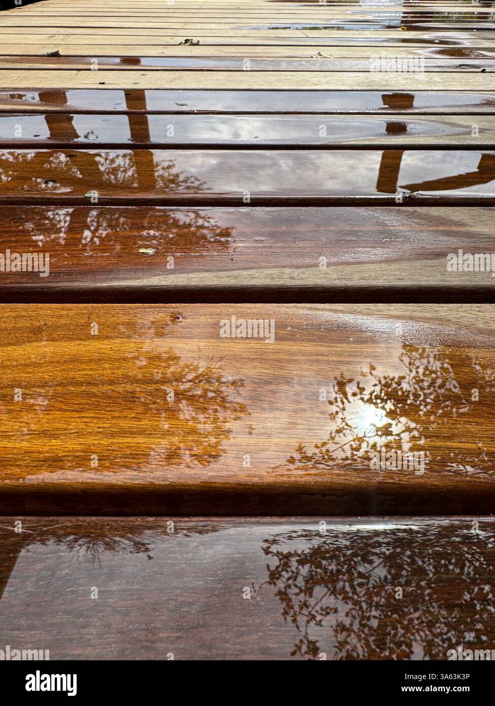 Ponte in legno dopo la pioggia con riflessi visibili Foto Stock