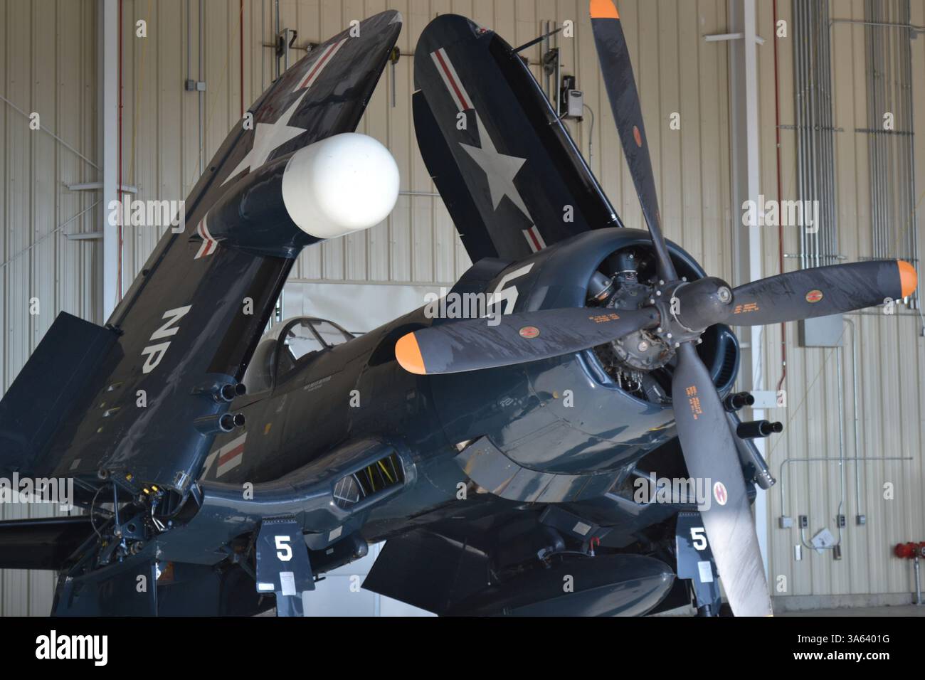 In Massachusetts viene mostrato un bellissimo caccia notturno Corsair F4U-5NL della guerra di Corea Foto Stock