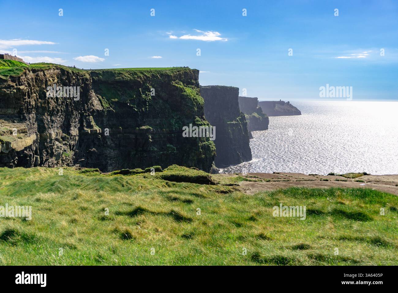 Le maestose scogliere di Moher in Irlanda si innalzano sopra l'Oceano Atlantico con erba verde e cieli azzurri chiari in una splendida giornata di sole Foto Stock