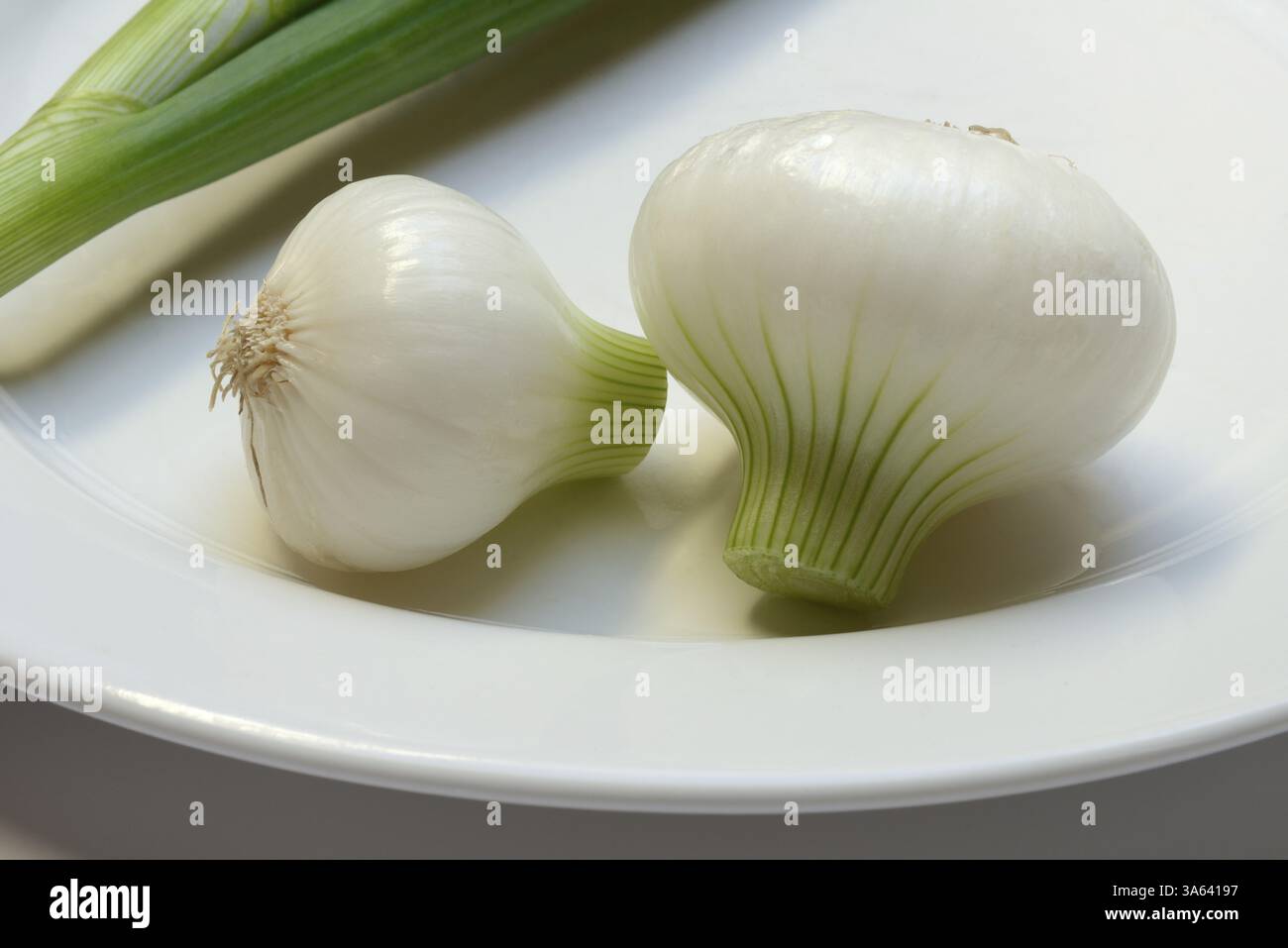 Cipolla, cipollotti su un piatto Foto Stock