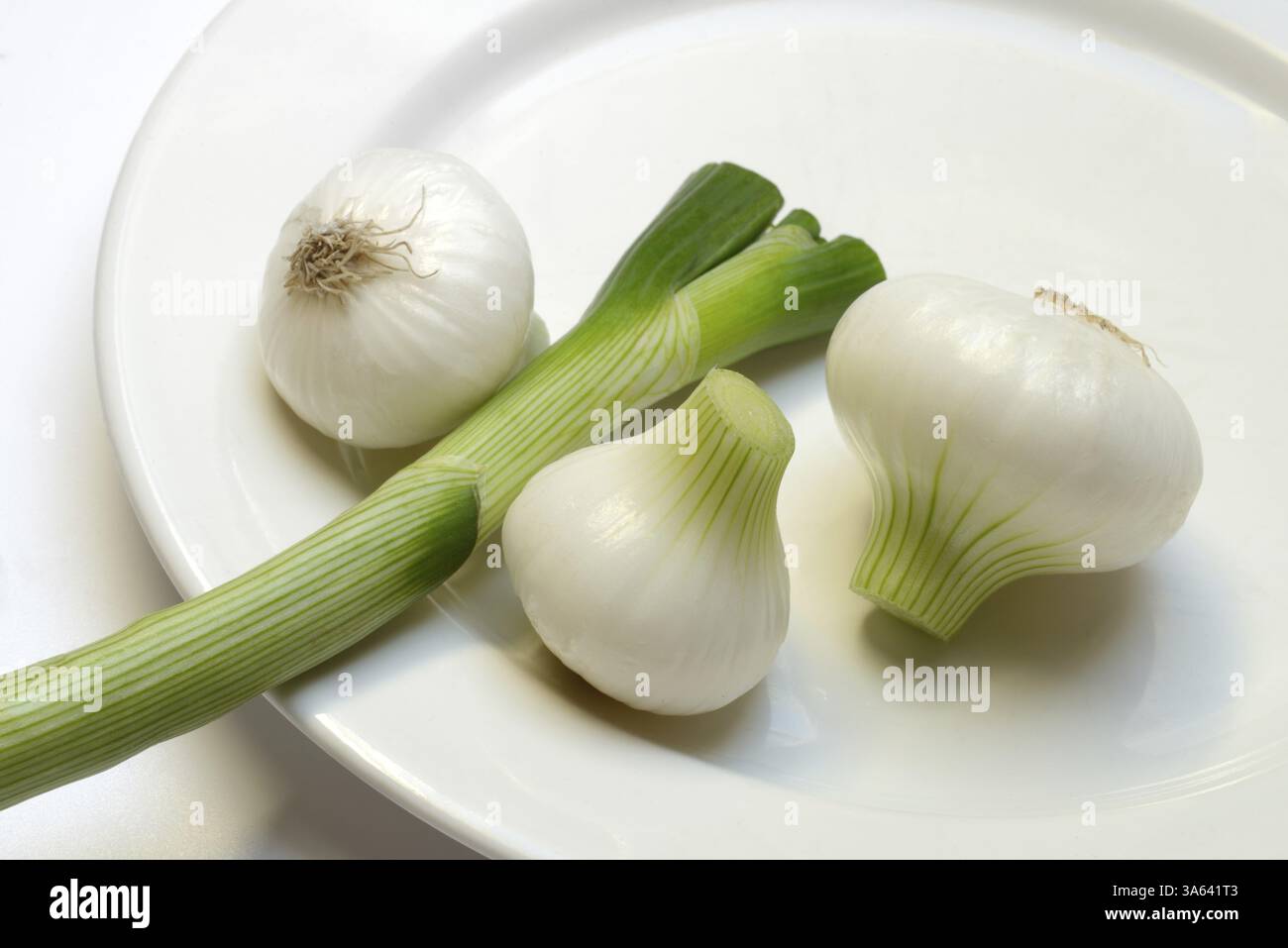 Cipolla, cipollotti su un piatto Foto Stock