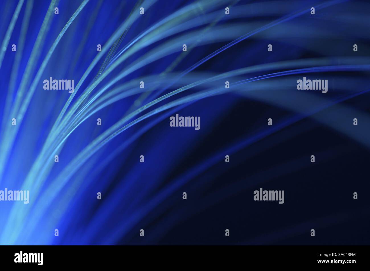 Colori blu fibre ottiche Foto Stock