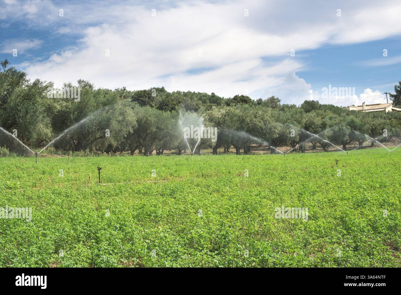 I sistemi di irrigazione. Cielo blu Foto Stock