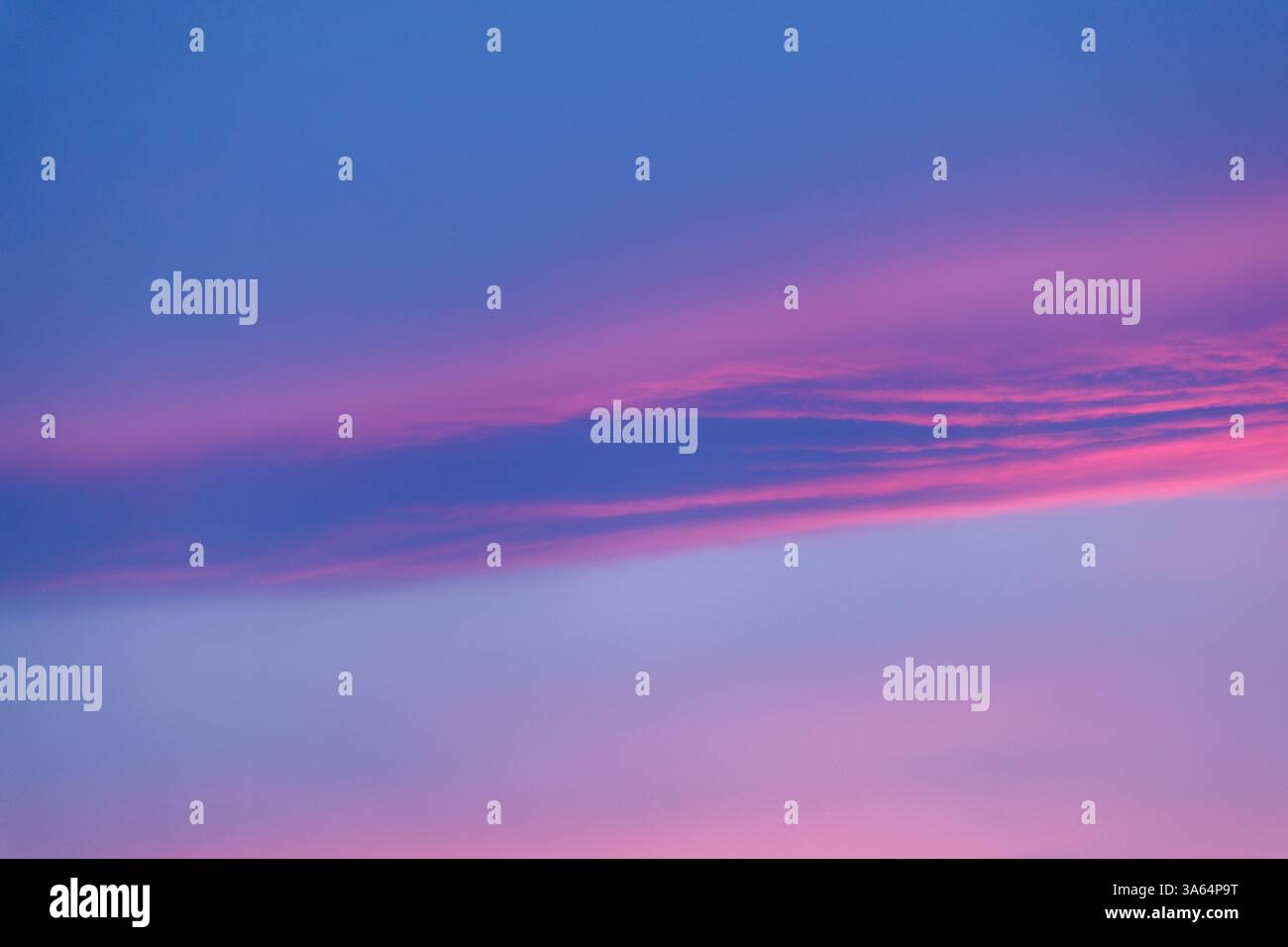 Un cielo da sogno sfoggia una sfumatura di blu e rosa con delicate formazioni nuvolose. Strati morbidi e vellutati creano un'atmosfera rilassante e serena. Foto Stock