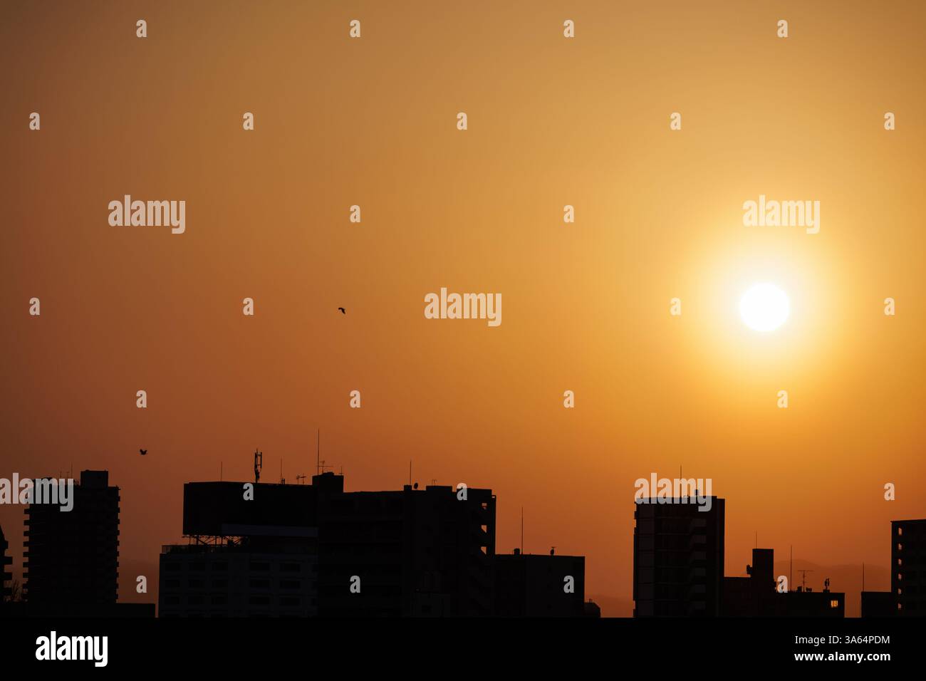 Tonalità calde e dorate riempiono il cielo mentre il sole tramonta dietro lo skyline sagomato di edifici alti. I corvi che volano in alto aggiungono un tocco di vita a una scena serena. Foto Stock