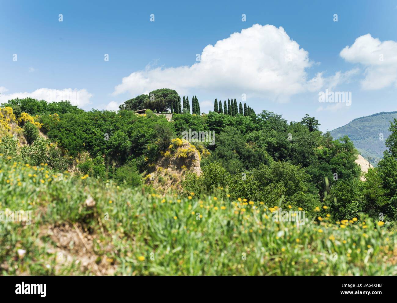 Paesaggio toscano. La luce del giorno. Foto Stock