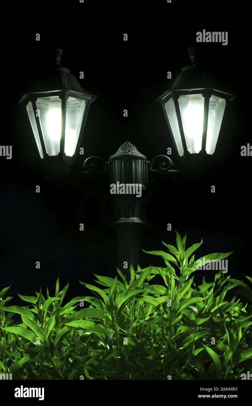 Immagine notturna della lampada in primo piano. Giardino decorativo di notte Foto Stock