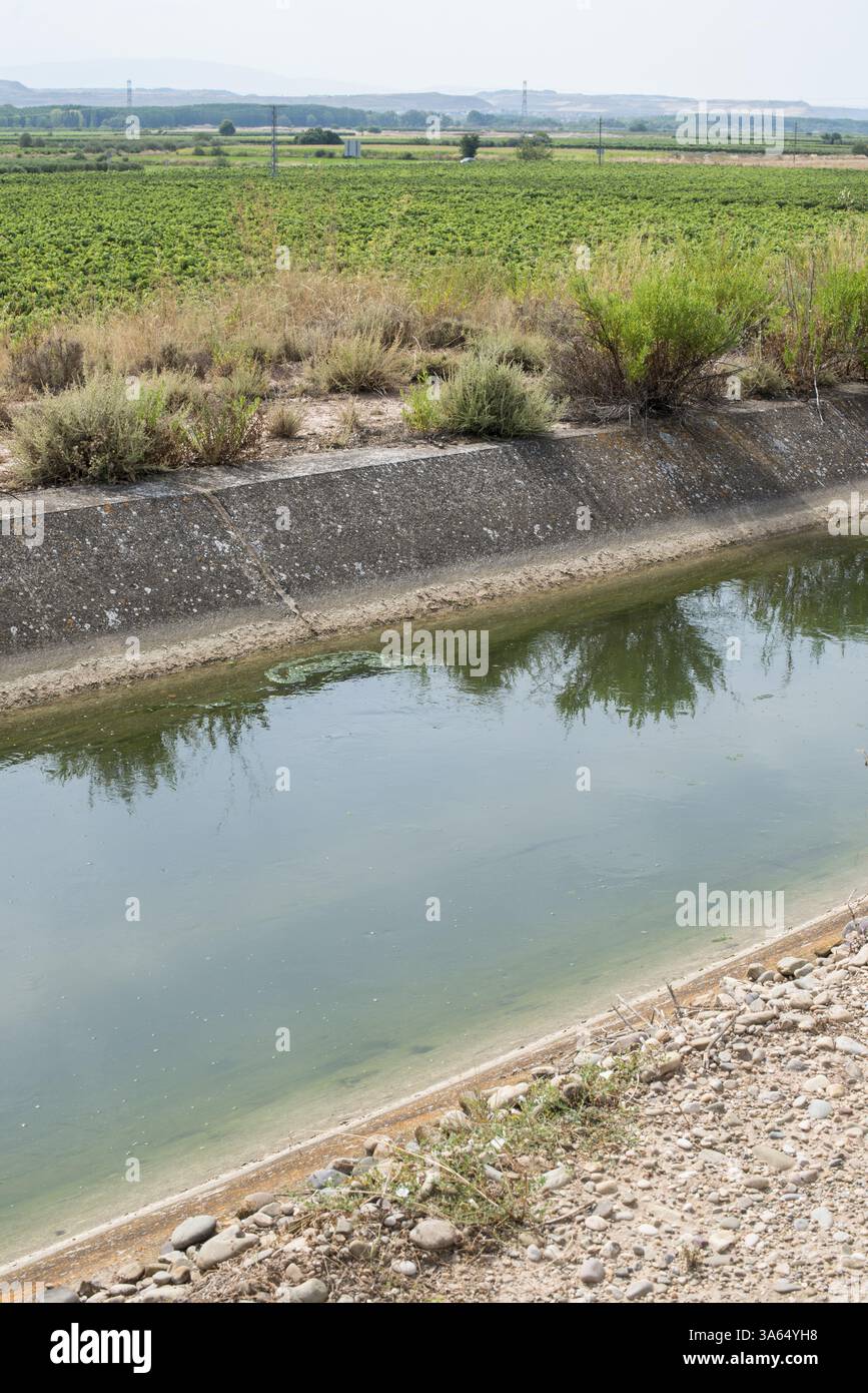 Canale di irrigazione e piante verdi Foto Stock