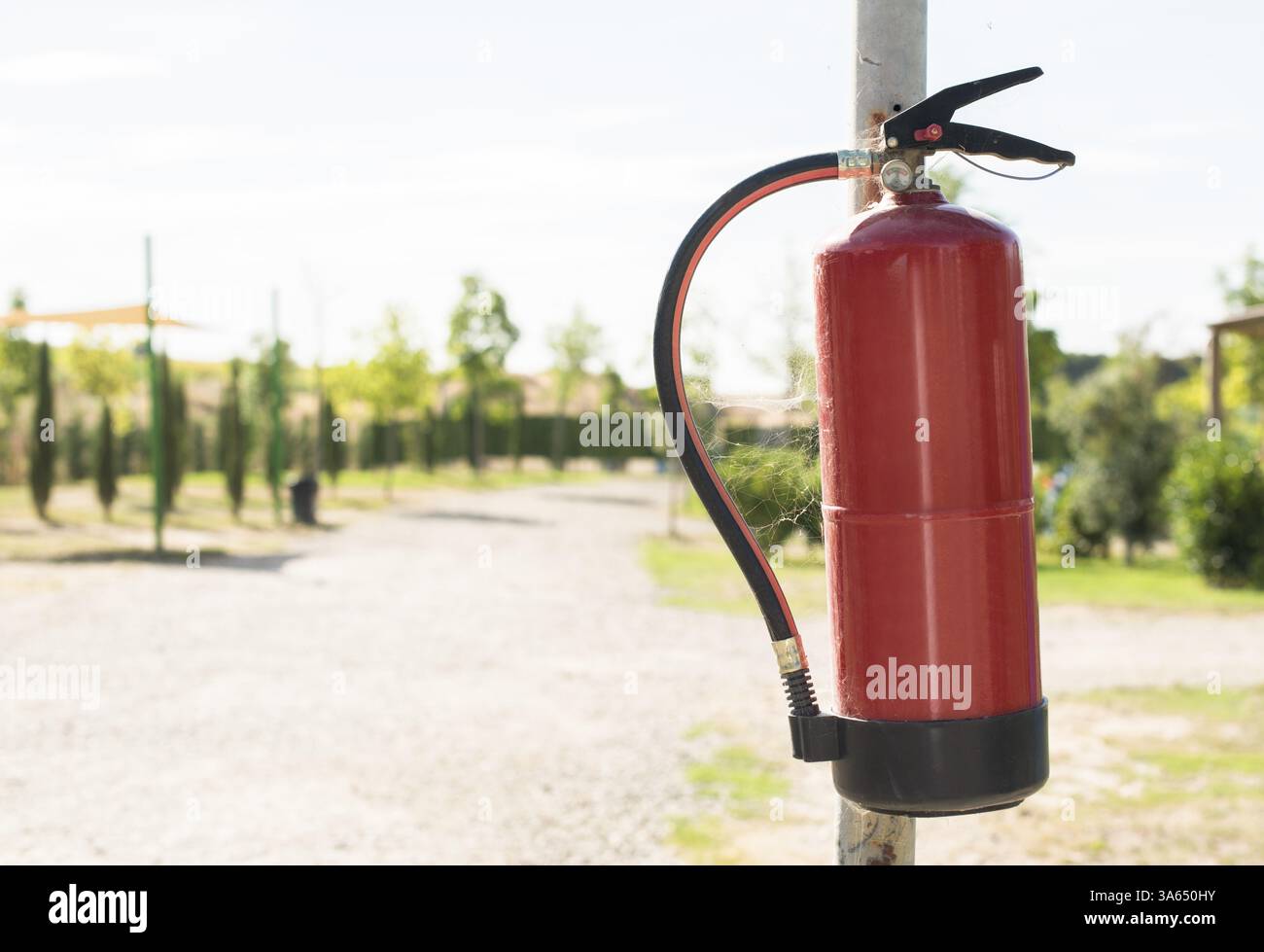Estintore nei boschi. Alberi sullo sfondo Foto Stock