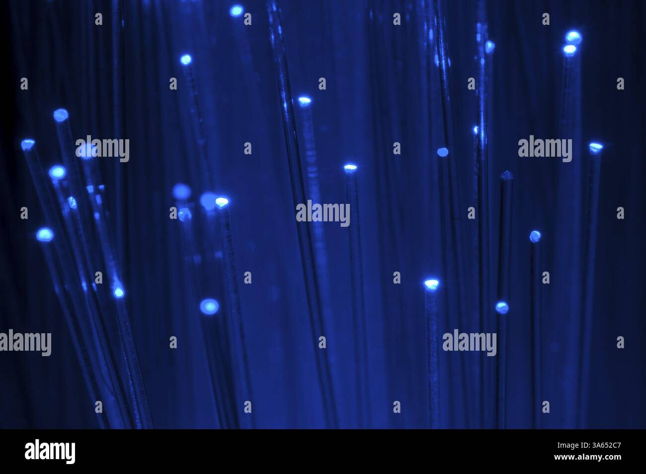 Colori blu fibre ottiche Foto Stock