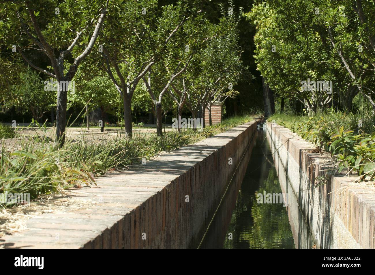 Canale di irrigazione in giardino Foto Stock