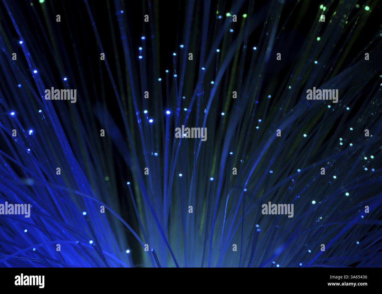 Colori blu fibre ottiche Foto Stock