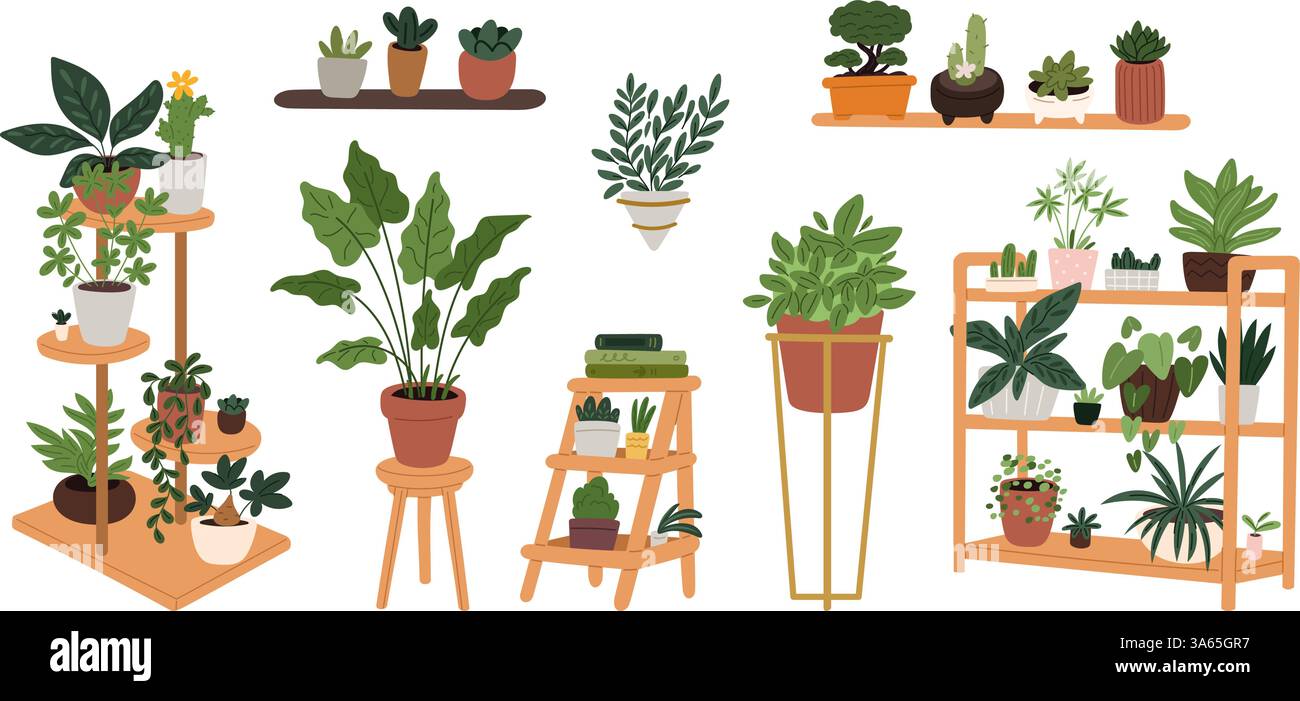 Piante da casa verde. Giardinaggio domestico. Ficus e fiori. Verde decorativo. Vasi di fiori su banchi e scaffali. Pentole interne per monstera. Succulente Illustrazione Vettoriale