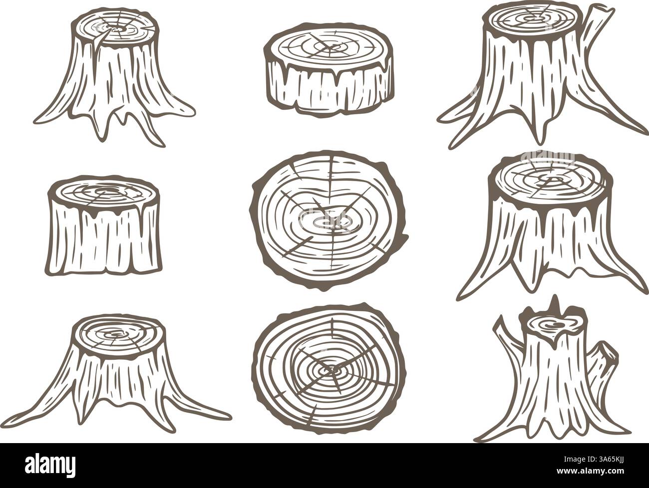 Set di ceppi di alberi disegnati a mano. Lo schizzo nero rimane dell'albero di taglio. Tronchi e tronchi rotondi, clip art. Grafica vettoriale, doodle Illustrazione Vettoriale