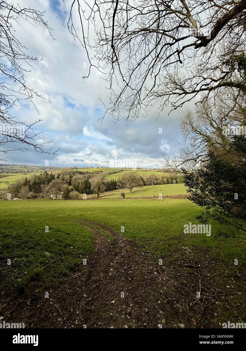 Limekiln Lane, Winsham Somerset: Vista sui campi in primavera - Immagine stock catturata con smartphone