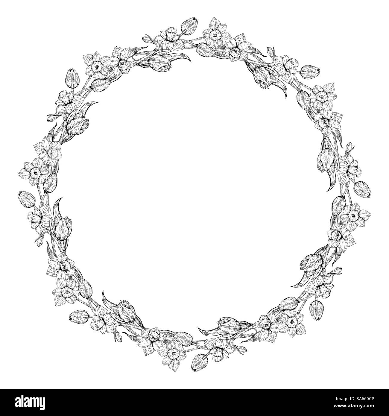 Corona floreale disegnata a mano in bianco e nero con narcisi e tulipani. Perfetto per cartoline primaverili, progetti botanici, Pasqua, 8 marzo, imballaggio, FAI DA TE Illustrazione Vettoriale