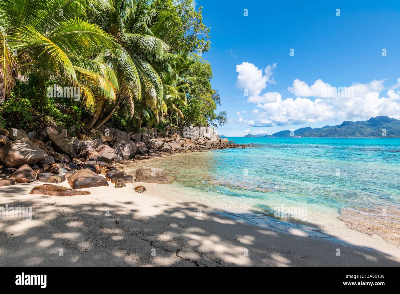 Spiaggia tropicale con palme e rocce, Mahé Island, Seychelles Foto Stock