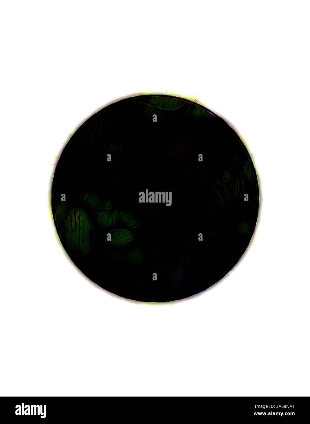 Una forma ovale e scura circondata da sottili sfumature di verde, che creano un contrasto intrigante che suggerisce fogliame nascosto o profondità misteriose. Arte classica con un tocco moderno reinventata da Artotop, ha trasformato l'ornamento persiano Foto Stock