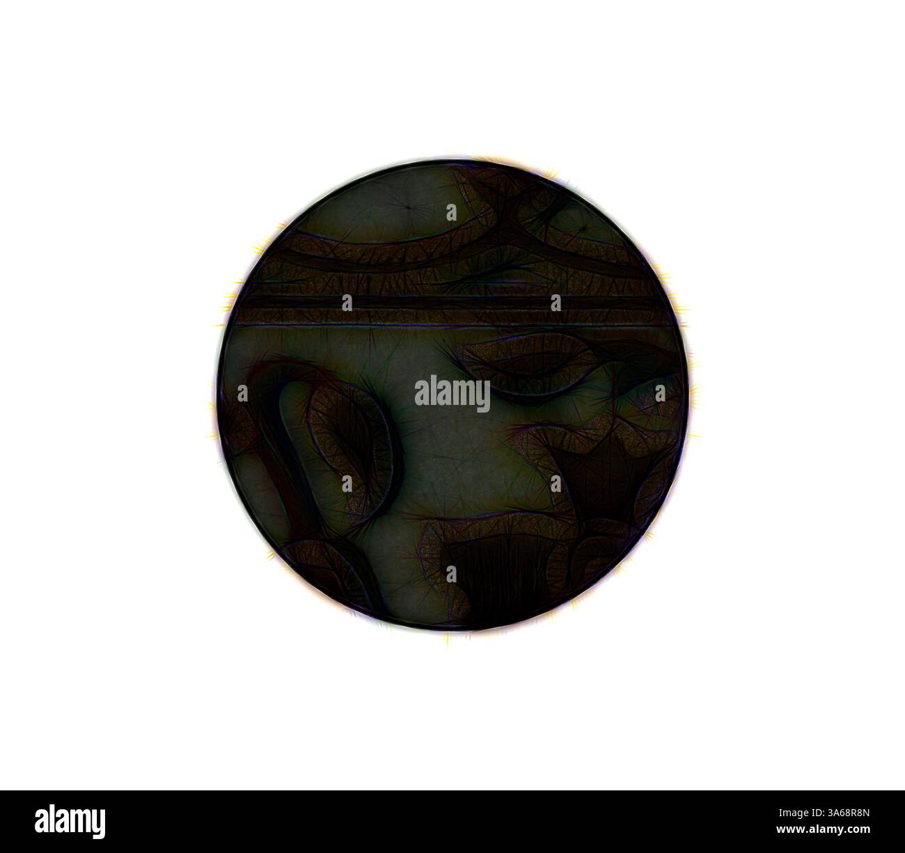 Una rappresentazione ovale di una figura serena, caratterizzata da linee intricate e ombre, che evoca un senso di calma e mistero. Le caratteristiche del viso sono sottili e accuratamente lavorate, riflettendo un'espressione meditativa. Arte classica con un tocco moderno reinventata da Artotop, un ornamento indiano trasformato Foto Stock