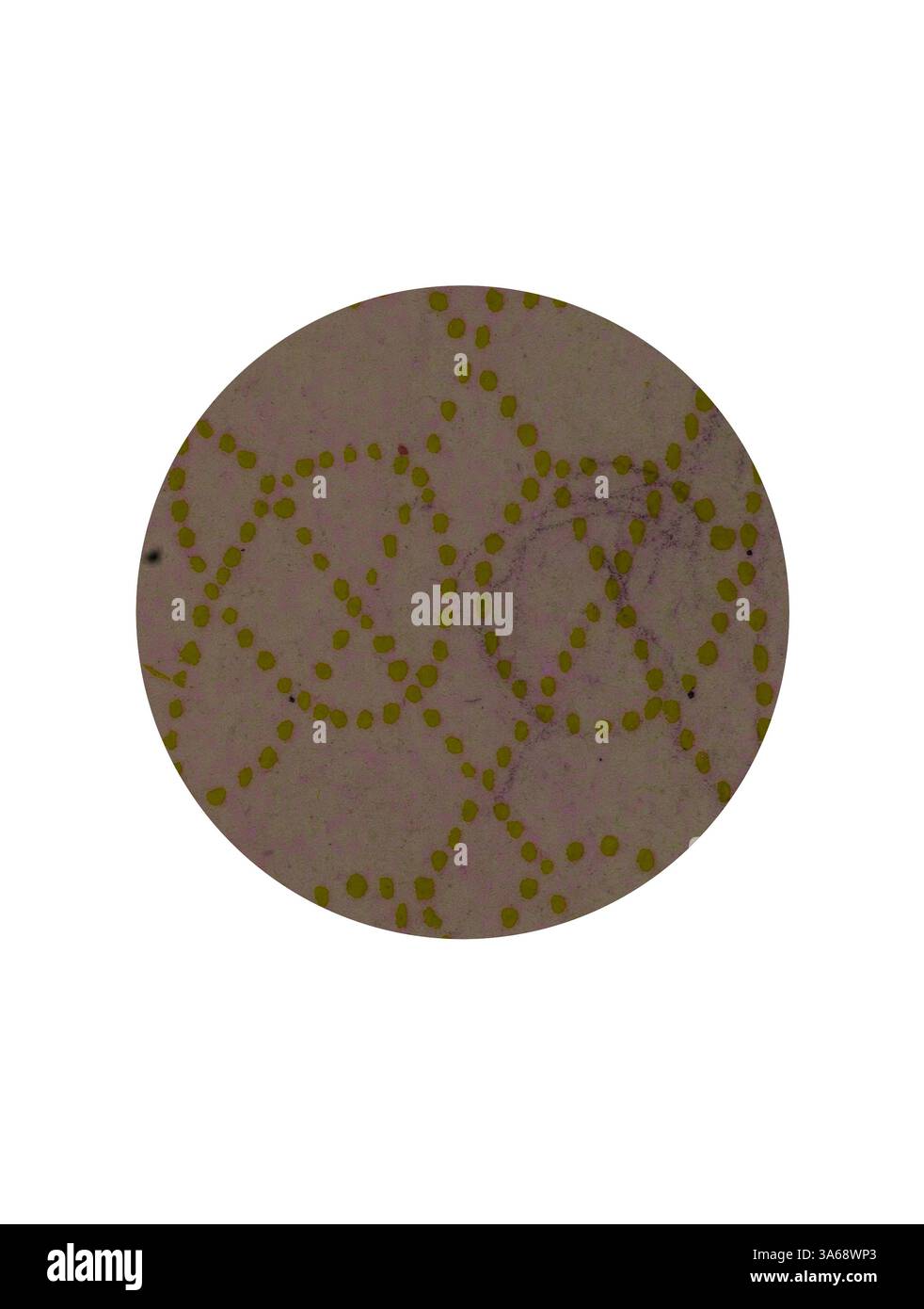 Un motivo astratto caratterizzato da forme circolari interconnesse da linee tratteggiate, che creano un design armonioso e ritmico. L'interazione tra luce e ombra aggiunge profondità alla composizione. Arte classica con un tocco moderno reinventata da Artotop, trasformata in ornamento celtico Foto Stock