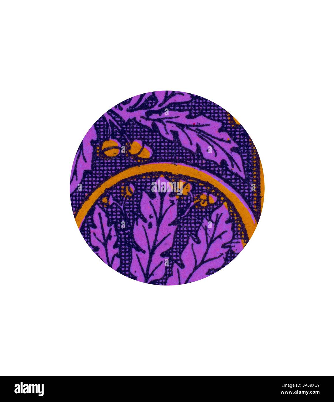 Un design circolare caratterizzato da intricati motivi di foglie e ghiande, evidenziati da una vivace combinazione di colori viola e arancione. Arte classica con un tocco moderno reinventata da Artotop, trasformata in Mediæval Ornament Foto Stock