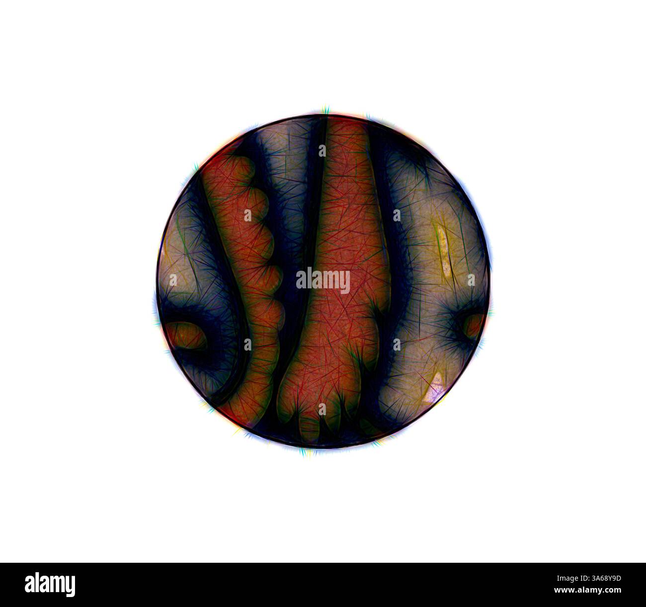 Una composizione astratta circolare con linee vorticose e colori contrastanti che creano un senso di profondità e movimento, che ricorda forme organiche o pattern presenti in natura. Arte classica con un tocco moderno reinventata da Artotop, trasformata in ornamento rinascimentale Foto Stock