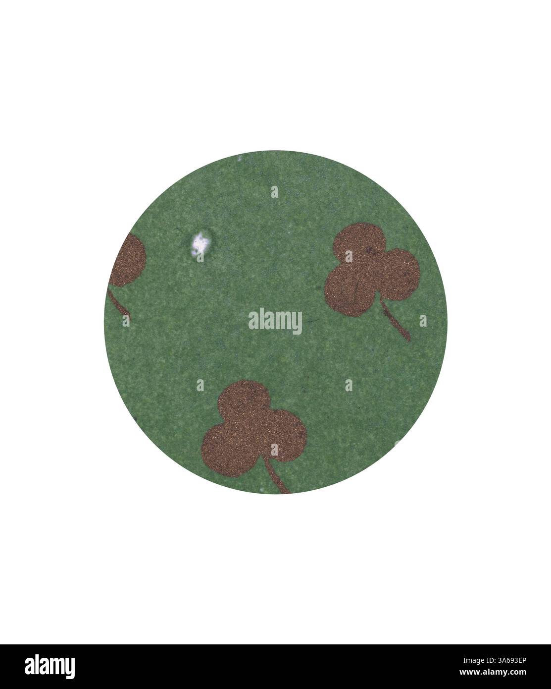 Un design circolare con sfondo verde adornato da forme di trifoglio marrone sparse, che creano un motivo stravagante e ispirato alla natura. Arte classica con un tocco moderno reinventata da Artotop, trasformata in Mediæval Ornament Foto Stock