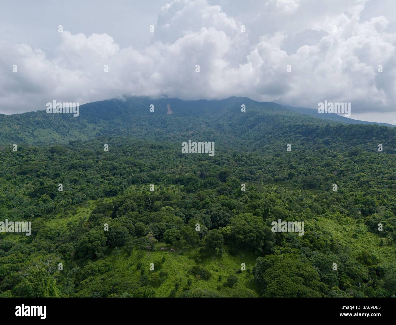 Valle verde del vulcano con vista aerea di nuvole bianche Foto Stock