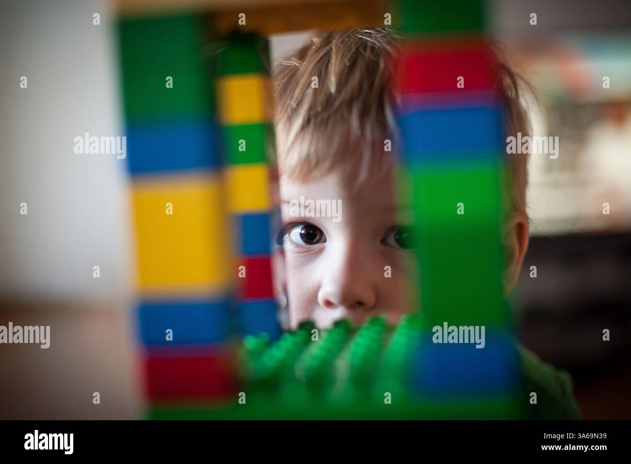 Un bambino piccolo si concentra sulla costruzione di una struttura a blocchi vibrante, sbirciando attraverso il design intricato. L'impostazione Home è caratterizzata da un'illuminazione calda e suggerimenti Foto Stock