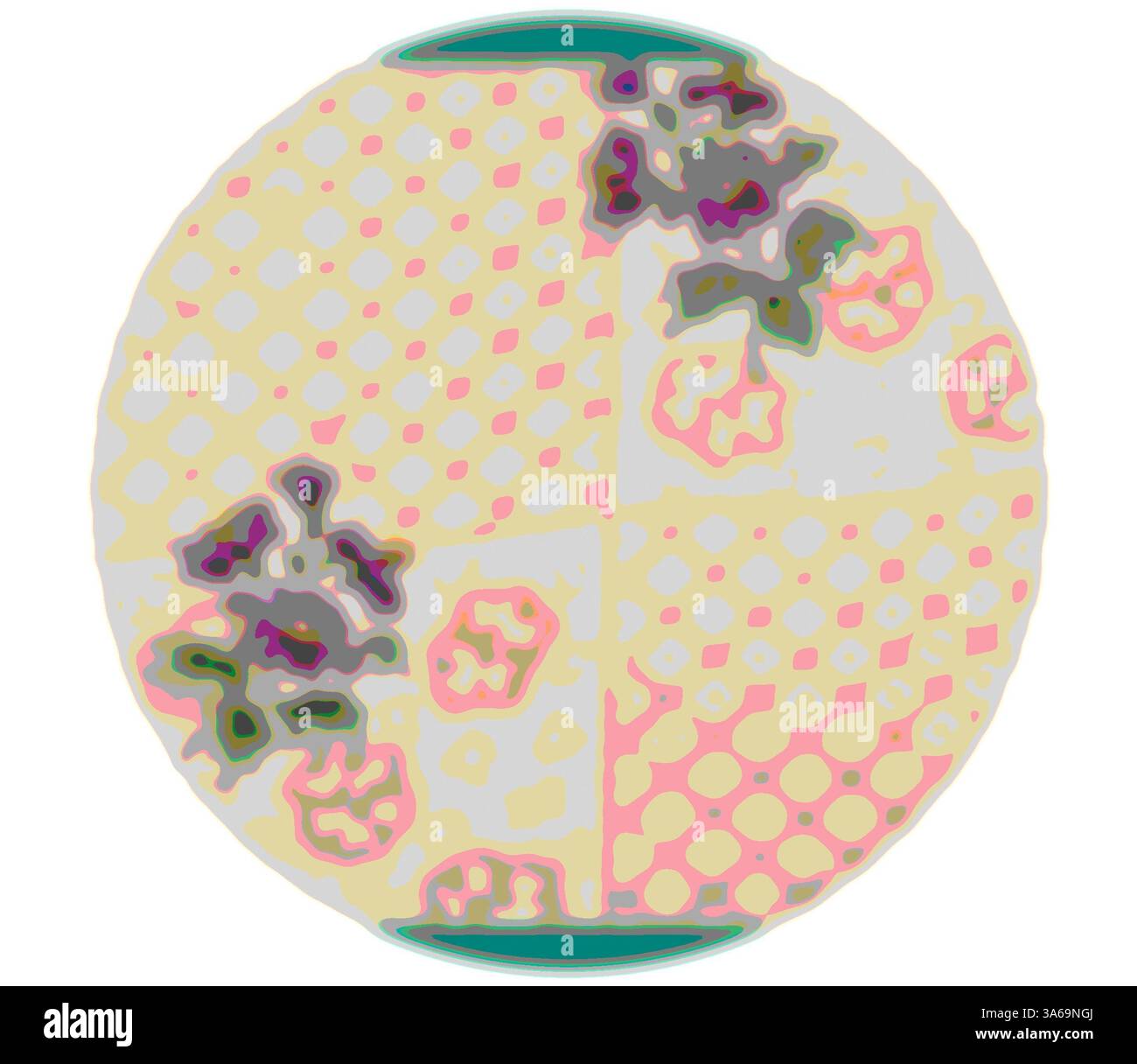 Una superficie circolare presenta un design giocoso con una miscela di pois ed elementi floreali, che mostrano colori pastello tenui in varie sezioni. Arte classica con un tocco moderno reinventata da Artotop, tessuti francesi trasformati, prima metà del diciannovesimo secolo Foto Stock