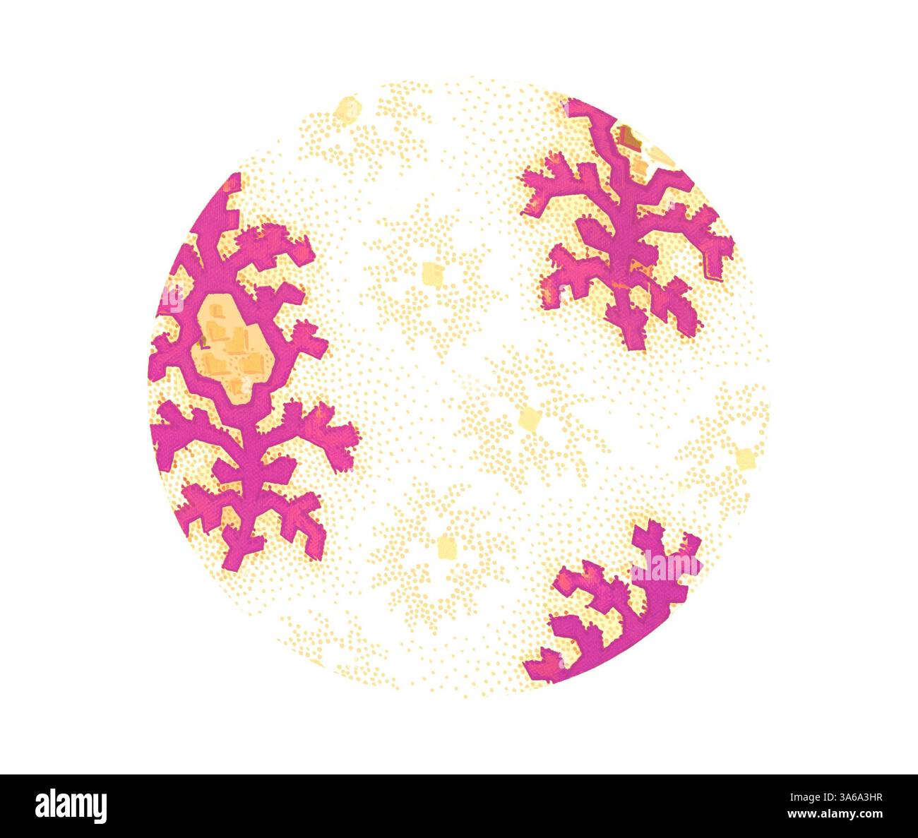 Un design circolare caratterizzato da fantasie intricate di vivaci forme coralline in rosa e arancione, su uno sfondo chiaro con sottili trame tratteggiate. Arte classica con un tocco moderno reinventata da Artotop, tessuti francesi trasformati, prima metà del diciannovesimo secolo Foto Stock