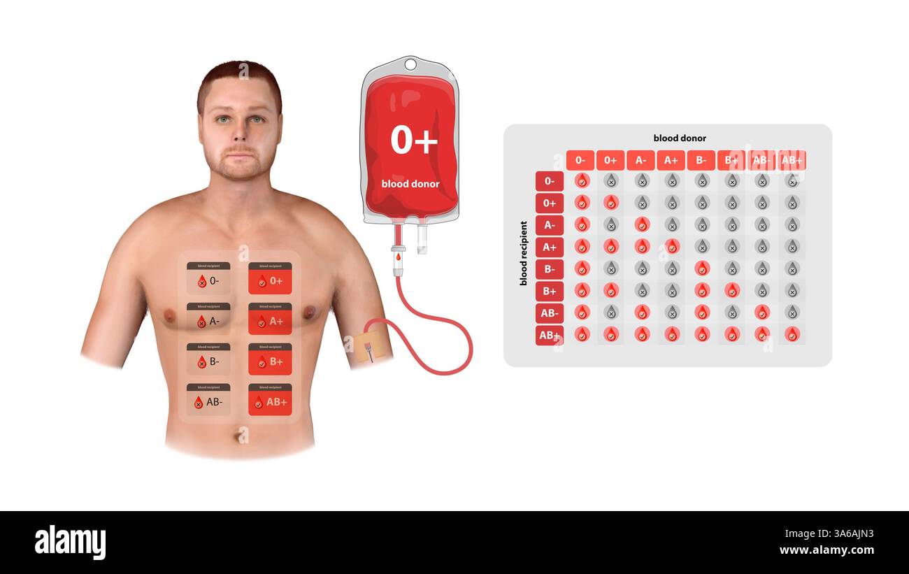 Un'illustrazione medica di un donatore o positivo, che mostra il processo trasfusionale, la compatibilità con il ricevente e un grafico completo del tipo di sangue, 3d. Foto Stock