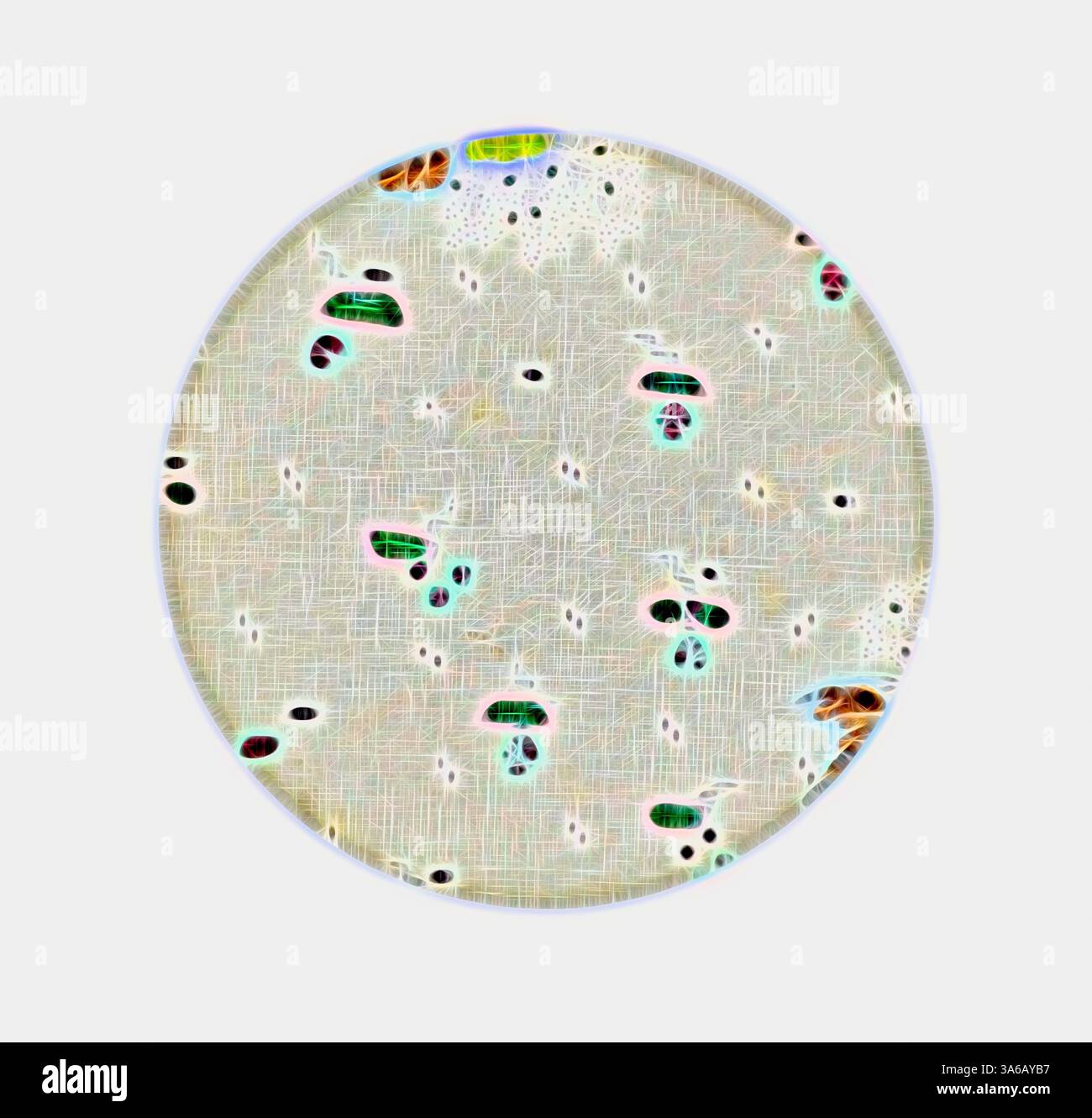 Una composizione circolare caratterizzata da una serie astratta di piccole macchie e forme, intervallate da colori vivaci che evocano un senso di profondità e complessità, somigliante a un microcosmo o a una struttura biologica unica. Arte classica con un tocco moderno reinventata da Artotop, tessuti francesi trasformati, prima metà del diciannovesimo secolo Foto Stock