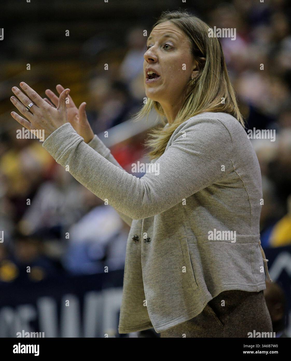 3 gennaio 2015 - Berkeley CA - California Head Coach Lindsay Gottlieb durante la partita di pallacanestro femminile NCAA tra Utah Utes e California Golden Bears 67-49 vince all'Hass Pavilion Berkeley California. (Immagine di credito: © Thurman James/Cal Sport Media/ZUMAPRESS.com) Foto Stock